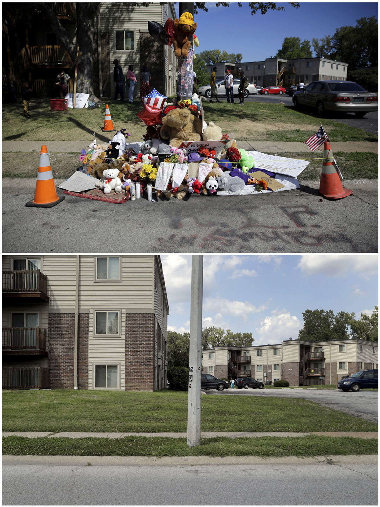 Michael Brown Five Years Later